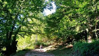 CAMINO DE SANTIAGO FRANCÉS. 1ª Parte. CAMINO DE SANTIAGO FRANCÉS. 1ª Parte.