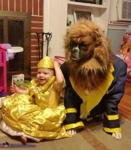 disfraces de carnaval originales para perros disfraces de carnaval originales para perros