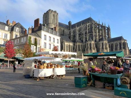 El mercado junto a la catedral de Le Mans