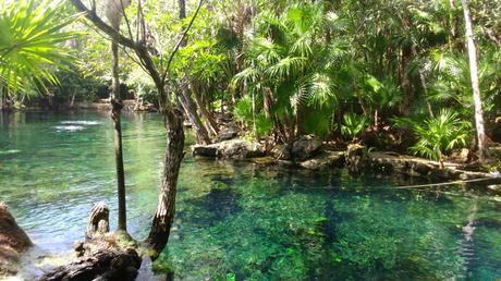 cenotes-riviera-maya-octubre