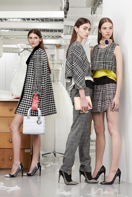 dior-Pre-Fall-2013_raf-simons