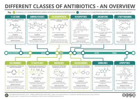 Different classes of antibiotics an overview beta-lactams aminoglycosides chloramphenicol clycopeptides ansamycins