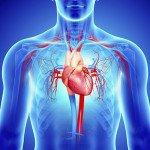 Insuficiencia cardíaca síntomas y las causas