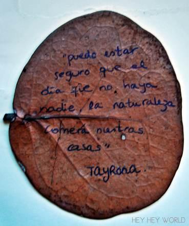 Lo que nunca había visto pero siempre estuvo ahí Tayrona-frase