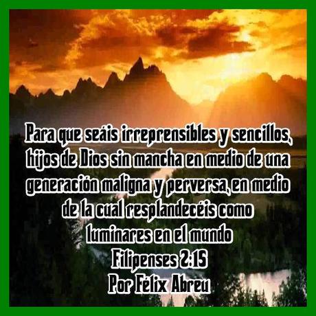 LUCES DEFECTUOSAS Y CENTELLANTES ESTRELLAS LUCES DEFECTUOSAS Y CENTELLANTES ESTRELLAS