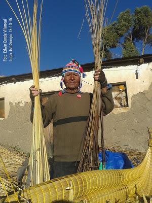 Artesanos de isla Suriqui confirman que la totora contaminada del Titicaca es inutilizable