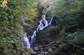 Irlanda en 10 días (III): Alcantilados de Moher, Adare y Parque Nacional de Killarney