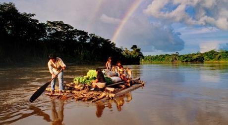Préstamos financiados con activos de carbono para proteger los bosques y producir cacao