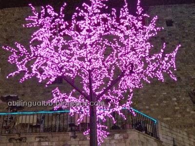 ¿Quieres participar en la Cabalgata de Reyes de Barcelona? ¿Quieres participar en la Cabalgata de Reyes de Barcelona?