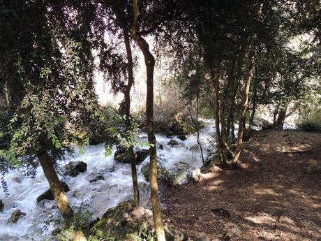 El nacimiento de un río: les fonts del Cardener