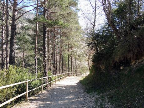 El nacimiento de un río: les fonts del Cardener