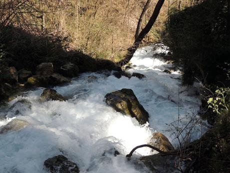 El nacimiento de un río: les fonts del Cardener