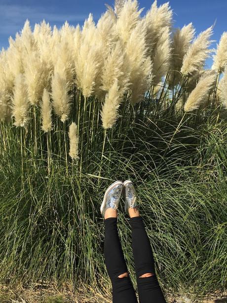 Metallic silver shoes Metallic silver shoes