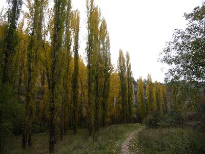 Hoces del Duratón y Ermita San Frutos