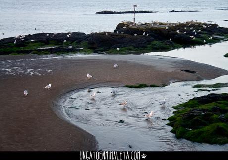 playa st andrews