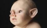 LAS MONSTRUOSAS ESCULTURAS DE PATRICIA PICCININI LAS MONSTRUOSAS ESCULTURAS DE PATRICIA PICCININI