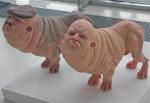 LAS MONSTRUOSAS ESCULTURAS DE PATRICIA PICCININI LAS MONSTRUOSAS ESCULTURAS DE PATRICIA PICCININI