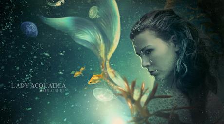 ¿Conoces a Paulo Bert? ¿Conoces a Paulo Bert?