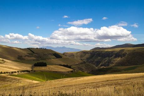 Más páramos en Antisana Más páramos en Antisana