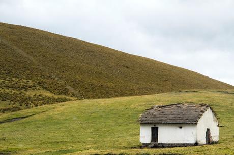 Más páramos en Antisana Más páramos en Antisana