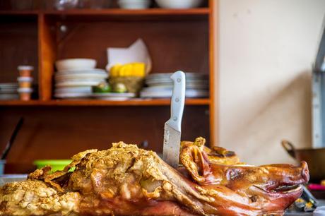 Más páramos en Antisana Más páramos en Antisana