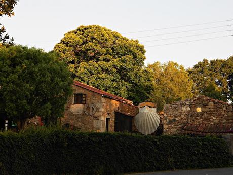 CAMINO DE SANTIAGO: SAN XULIAN DO CAMIÑO-MELIDE. (CAMINO FRANCÉS)