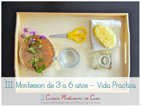 Nuevo curso online Montessori de 3 a 6 años – Vida Práctica