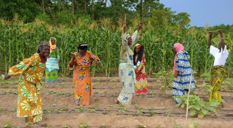 16 iniciativas transformadoras para la Acción climática (2) Dar el poder a las agricultoras gracias al sol