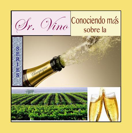 SERIES - Sr. Vino - Conociendo más sobre la Champaña