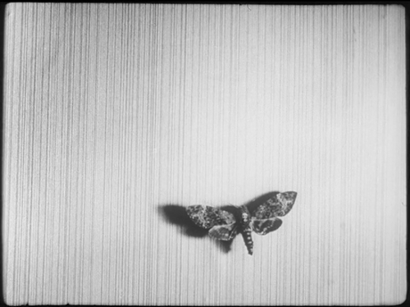 Un chien andalou - 1929 Un chien andalou - 1929