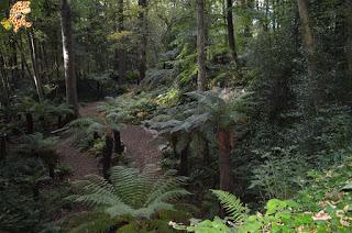 Irlanda en 10 días (IV): Gap of Dunloe, castillo de Blarney y Cork Irlanda en 10 días (IV): Gap of Dunloe, castillo de Blarney y Cork