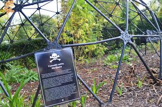 Irlanda en 10 días (IV): Gap of Dunloe, castillo de Blarney y Cork Irlanda en 10 días (IV): Gap of Dunloe, castillo de Blarney y Cork