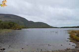 Irlanda en 10 días (IV): Gap of Dunloe, castillo de Blarney y Cork Irlanda en 10 días (IV): Gap of Dunloe, castillo de Blarney y Cork