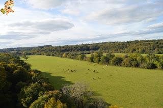 Irlanda en 10 días (IV): Gap of Dunloe, castillo de Blarney y Cork Irlanda en 10 días (IV): Gap of Dunloe, castillo de Blarney y Cork