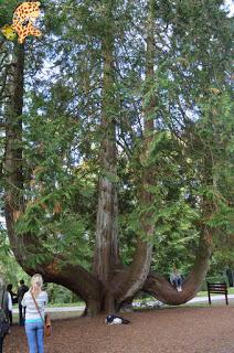 Irlanda en 10 días (IV): Gap of Dunloe, castillo de Blarney y Cork Irlanda en 10 días (IV): Gap of Dunloe, castillo de Blarney y Cork