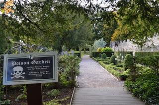 Irlanda en 10 días (IV): Gap of Dunloe, castillo de Blarney y Cork Irlanda en 10 días (IV): Gap of Dunloe, castillo de Blarney y Cork