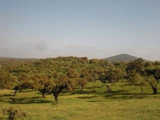 Encuentro Blogueros Extremadura: 