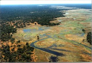 48 LUGARES PATRIMONIO DE LA HUMANIDAD... EN PELIGRO 48 LUGARES PATRIMONIO DE LA HUMANIDAD... EN PELIGRO