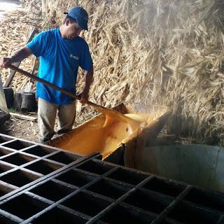 La Panela / Raw Sugar Cane