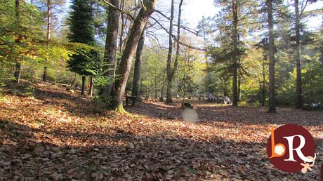 LA LIGA DEL CHÁNDAL LA LIGA DEL CHÁNDAL
