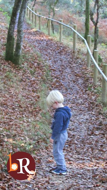 LA LIGA DEL CHÁNDAL LA LIGA DEL CHÁNDAL