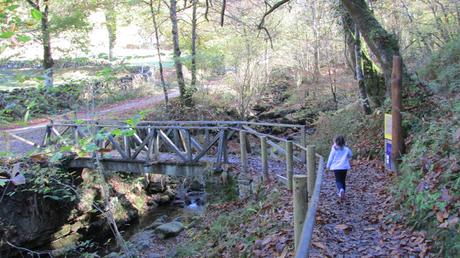 LA LIGA DEL CHÁNDAL LA LIGA DEL CHÁNDAL