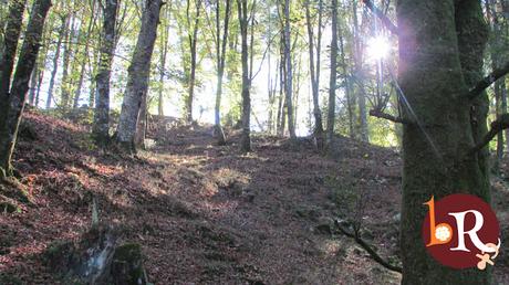 LA LIGA DEL CHÁNDAL LA LIGA DEL CHÁNDAL