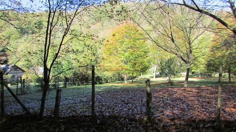 LA LIGA DEL CHÁNDAL LA LIGA DEL CHÁNDAL
