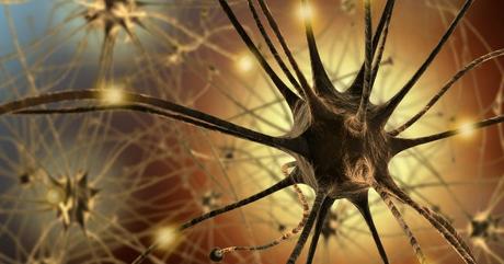 Una punción lumbar para detectar tumores cerebrales Una punción lumbar para detectar tumores cerebrales