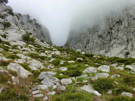 CUETO AGERO, FONTANILLA Y CUEVA CILOÑA CUETO AGERO, FONTANILLA Y CUEVA CILOÑA