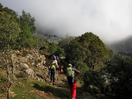 CUETO AGERO, FONTANILLA Y CUEVA CILOÑA CUETO AGERO, FONTANILLA Y CUEVA CILOÑA