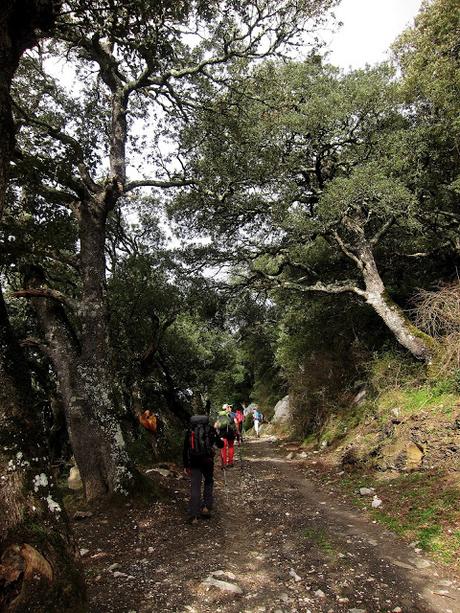 CUETO AGERO, FONTANILLA Y CUEVA CILOÑA CUETO AGERO, FONTANILLA Y CUEVA CILOÑA