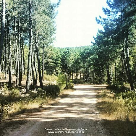 comarca de pinares Espeja de San Marcelino Soria