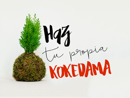 como hacer una kokedama